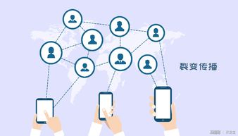 開發(fā)寶全面升級會員權(quán)益 為企業(yè)提供定制化專屬軟件外包服務(wù)