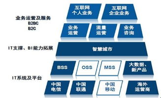 天源迪科（300047）更新研究報(bào)告 聚焦政企與運(yùn)營商雙輪驅(qū)動(dòng)，深化軟件外包服務(wù)布局