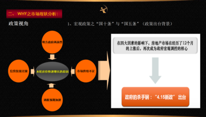 房地產(chǎn)營銷策劃全案解析 從策略到執(zhí)行
